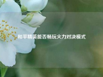 和平精英能否畅玩火力对决模式