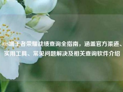 iOS端王者荣耀战绩查询全指南，涵盖官方渠道、实用工具、常见问题解决及相关查询软件介绍