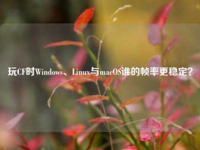 玩CF时Windows、Linux与macOS谁的帧率更稳定？