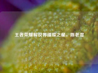 王者荣耀解说界璀璨之星，陈老湿
