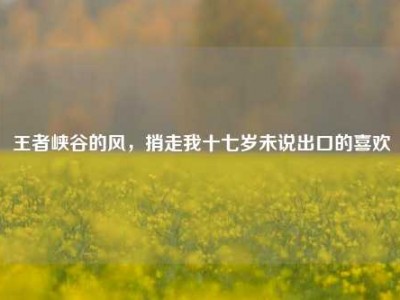 王者峡谷的风，捎走我十七岁未说出口的喜欢