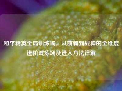 和平精英全局训练场，从萌新到战神的全维度进阶试炼场及进入方法详解