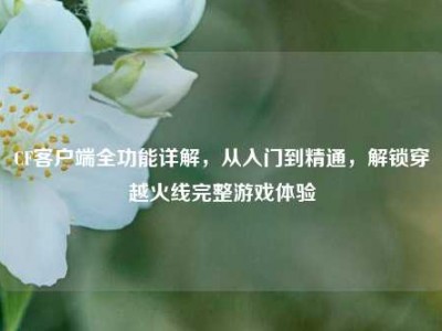 CF客户端全功能详解，从入门到精通，解锁穿越火线完整游戏体验