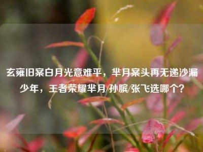 玄雍旧案白月光意难平，芈月案头再无递沙漏少年，王者荣耀芈月/孙膑/张飞选哪个？