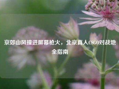 京郊山风撞进屏幕枪火，北京真人CSGO对战地全指南