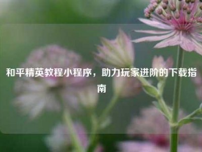 和平精英教程小程序，助力玩家进阶的下载指南