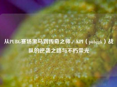 从PUBG赛场黑马到传奇之师，KPI（pubggk）战队的逆袭之路与不朽荣光