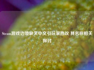 Steam游戏边境缺失中文引玩家热议 其名称相关探讨