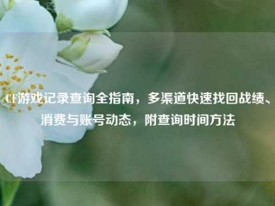 CF游戏记录查询全指南，多渠道快速找回战绩、消费与账号动态，附查询时间方法