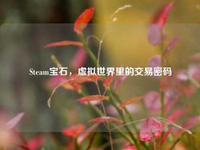 Steam宝石，虚拟世界里的交易密码
