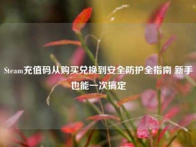 Steam充值码从购买兑换到安全防护全指南 新手也能一次搞定