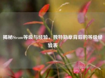 揭秘Steam等级与经验，独特勋章背后的等级经验表