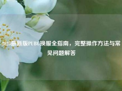 2025最新版PUBG换服全指南，完整操作方法与常见问题解答