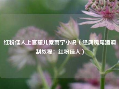 红粉佳人上官瑾儿秦雨宁小说（经典鸡尾酒调制教程：红粉佳人）