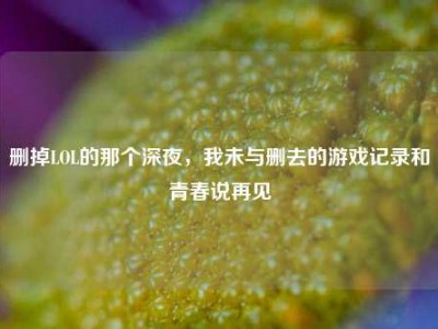 删掉LOL的那个深夜，我未与删去的游戏记录和青春说再见