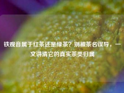 铁观音属于红茶还是绿茶？别被茶名误导，一文讲清它的真实茶类归属
