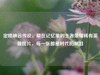 定格峡谷传说，藏在记忆里的王者荣耀稀有英雄图片，每一张都是时代的眼泪