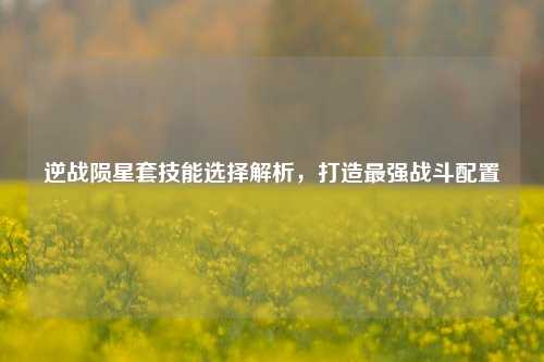 逆战陨星套技能选择解析,打造最强战斗配置