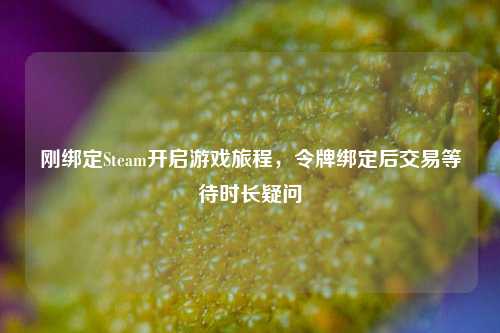 刚绑定Steam开启游戏旅程,令牌绑定后交易等待时长疑问