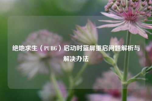 绝地求生（PUBG）启动时蓝屏重启问题解析与解决办法