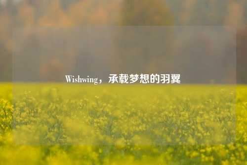 Wishwing,承载梦想的羽翼