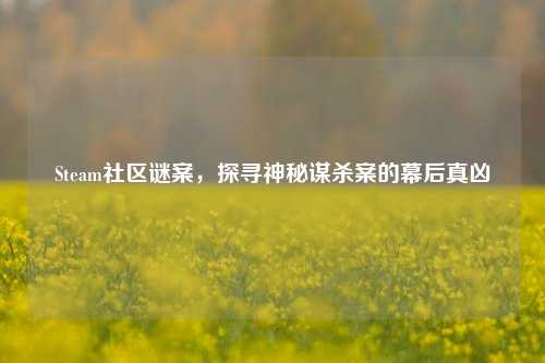 Steam社区谜案,探寻神秘谋杀案的幕后真凶