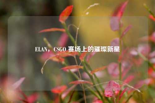 ELAN,CSGO 赛场上的璀璨新星