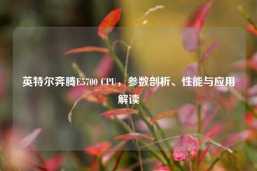 英特尔奔腾E5700 CPU,参数剖析、性能与应用解读