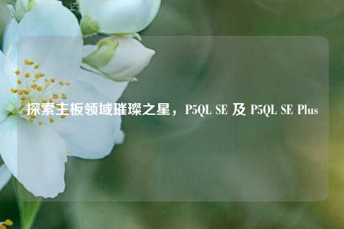 探索主板领域璀璨之星，P5QL SE 及 P5QL SE Plus