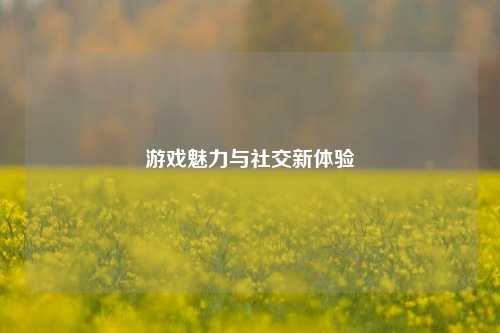 游戏魅力与社交新体验