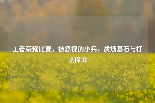 王者荣耀比赛,被忽视的小兵,战场基石与打法探究
