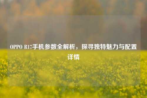 OPPO R17手机参数全解析,探寻独特魅力与配置详情