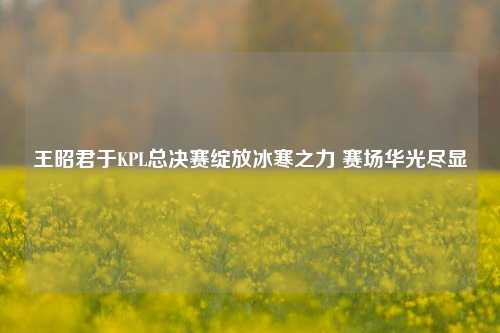 王昭君于KPL总决赛绽放冰寒之力 赛场华光尽显