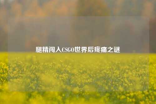 腿精闯入CSGO世界后疼痛之谜