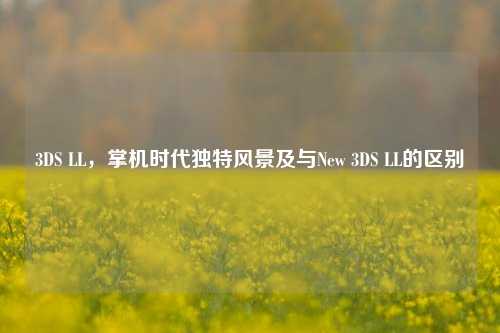 3DS LL,掌机时代独特风景及与New 3DS LL的区别