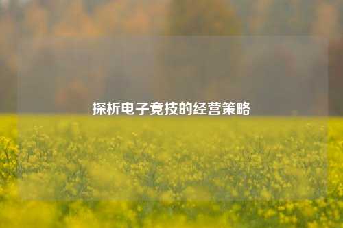 探析电子竞技的经营策略
