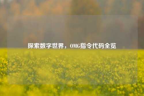 探索数字世界,OMG指令代码全览