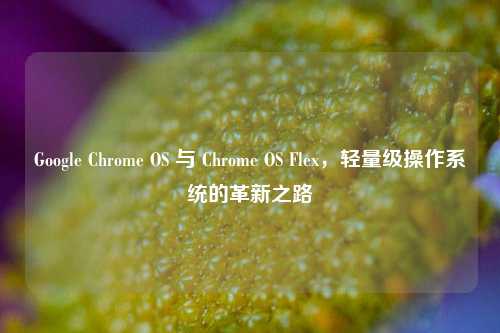 Google Chrome OS 与 Chrome OS Flex，轻量级操作系统的革新之路