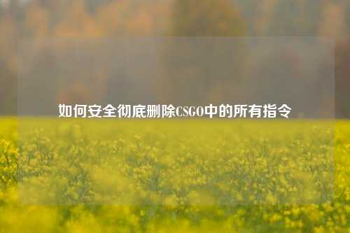如何安全彻底删除CSGO中的所有指令