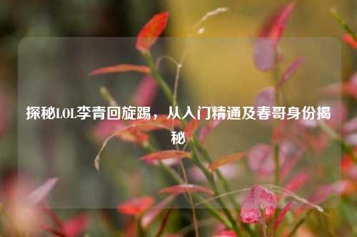 探秘LOL李青回旋踢,从入门精通及春哥身份揭秘