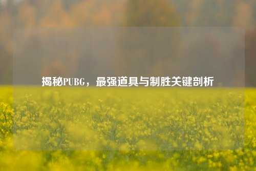 揭秘PUBG,最强道具与制胜关键剖析