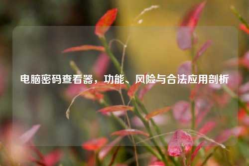 电脑密码查看器,功能、风险与合法应用剖析