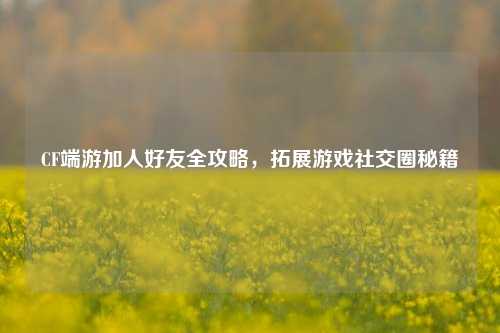 CF端游加人好友全攻略,拓展游戏社交圈秘籍