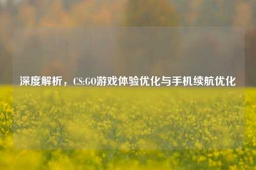 深度解析,CS:GO游戏体验优化与手机续航优化
