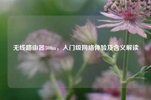 无线路由器300m,入门级网络体验及含义解读