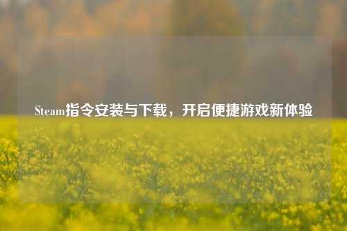 Steam指令安装与下载,开启便捷游戏新体验