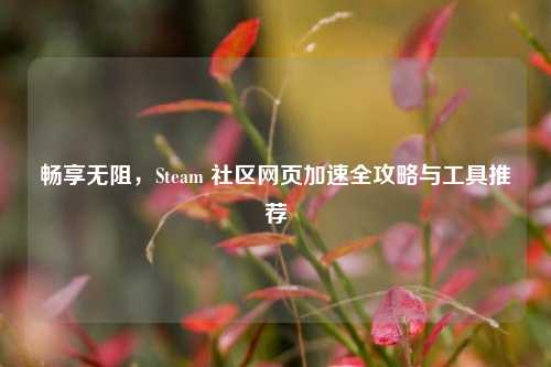 畅享无阻,Steam 社区网页加速全攻略与工具推荐