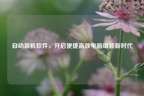 自动装机软件,开启便捷高效电脑组装新时代