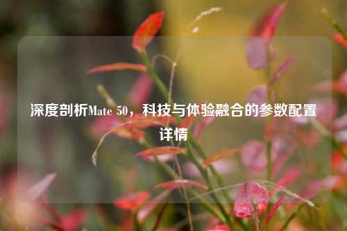 深度剖析Mate 50,科技与体验融合的参数配置详情