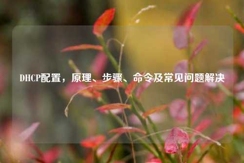 DHCP配置，原理、步骤、命令及常见问题解决
